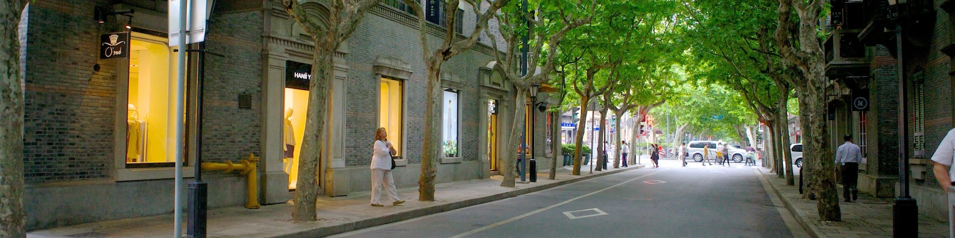 Rua arborizada com lojas e pedestres.