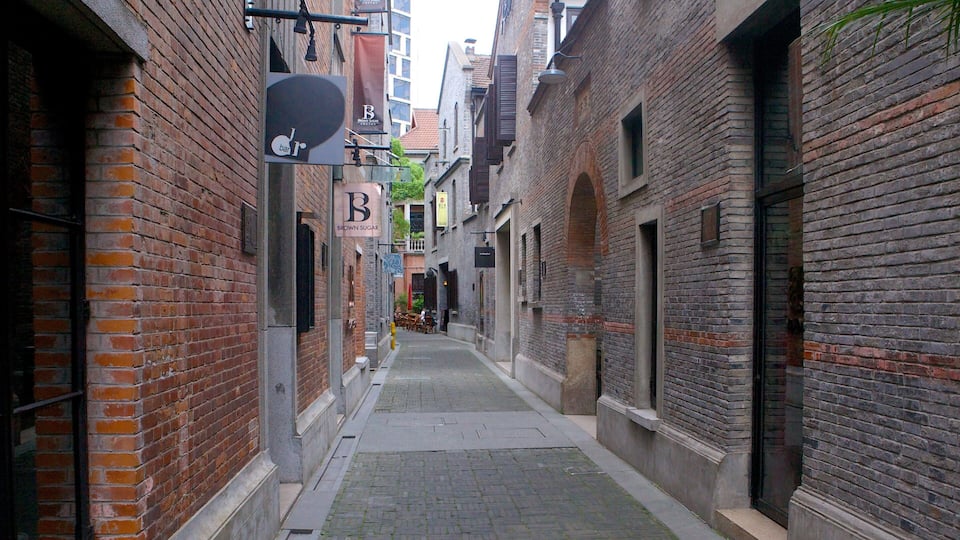 Xintiandi Style Shoppping Centre showing street scenes and a city