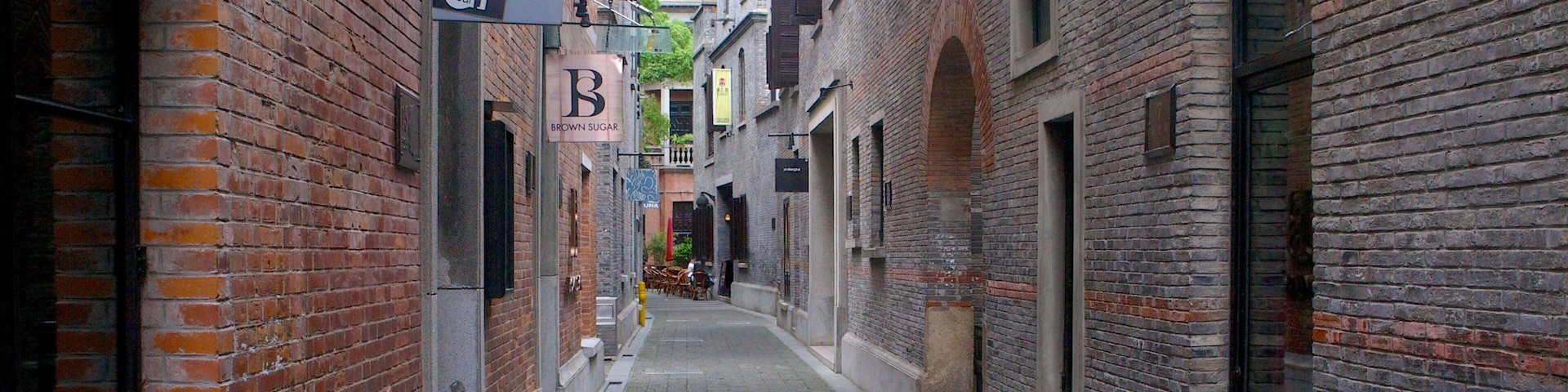 Xintiandi Style Shoppping Centre showing street scenes and a city