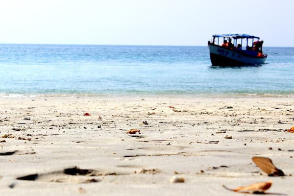 A beach with scattered leaves and a boat in the distance.