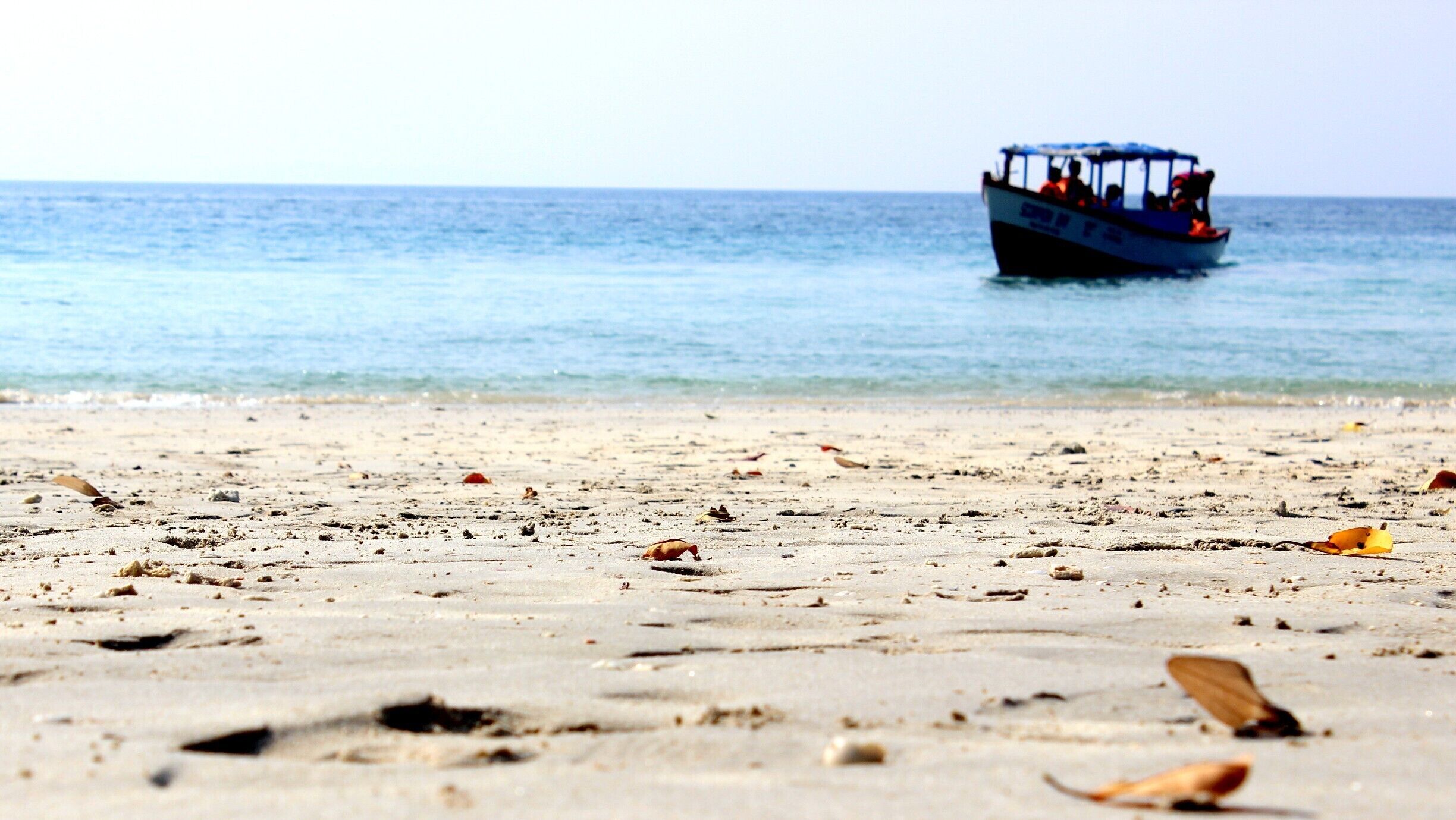 A beach with scattered leaves and a boat in the distance.