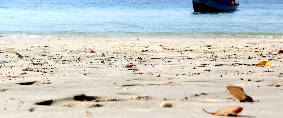A beach with scattered leaves and a boat in the distance.