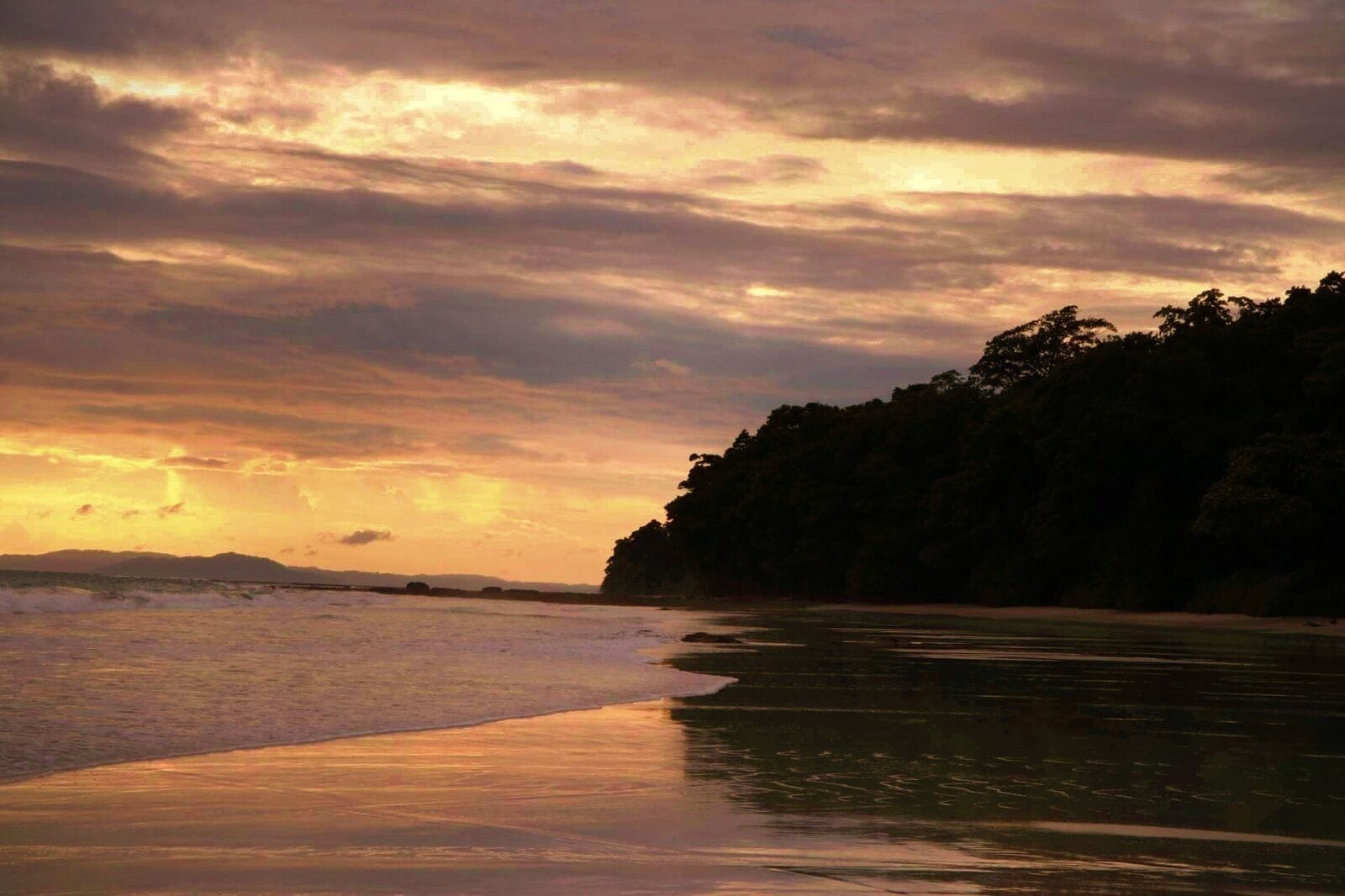 A beach at sunset with waves, a forested cliff, and a distant mountain range.