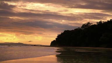 Uma praia ao pôr do sol com ondas, um penhasco arborizado e uma cadeia de montanhas ao longe.