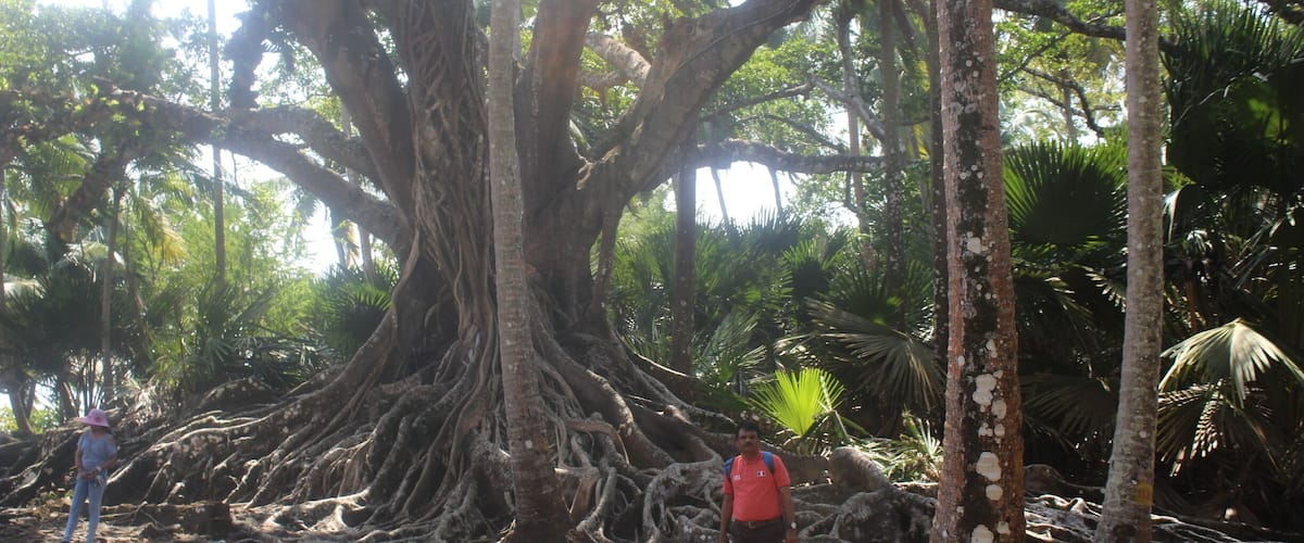 Ross island,ruins of administrator headquarter of British rulers in India