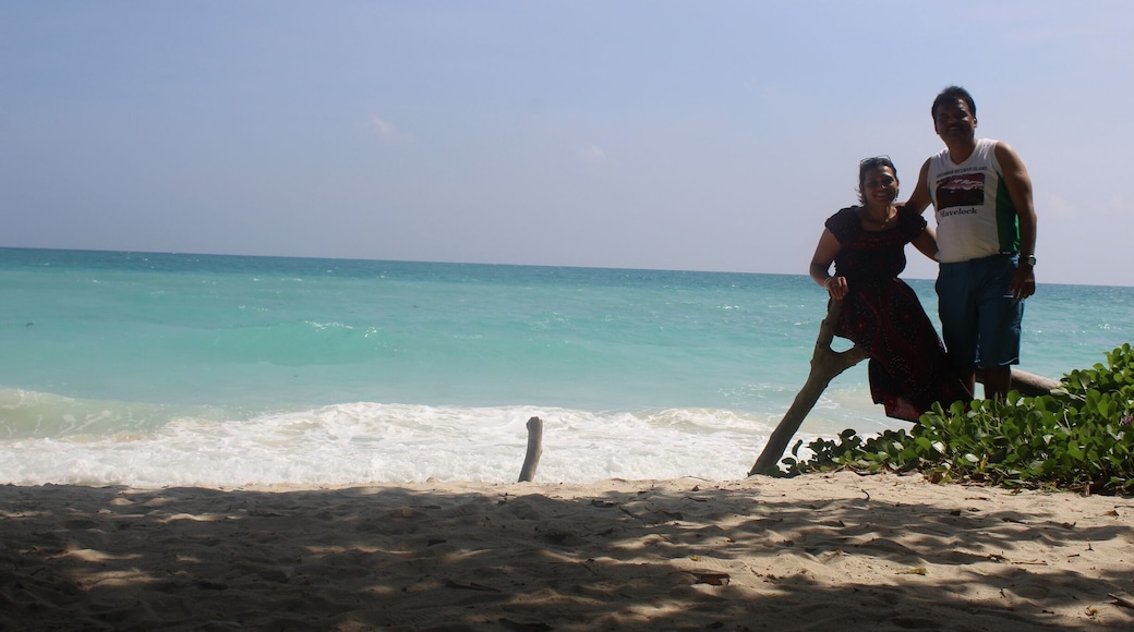 A sensational beach in Havelock,Andaman island.Pristine, pure,clean blue water in emerald island