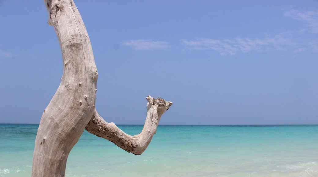 The pristine crystal clear turquoise waters of Havelock Island will cool of your eyes and give you calmness. #beach