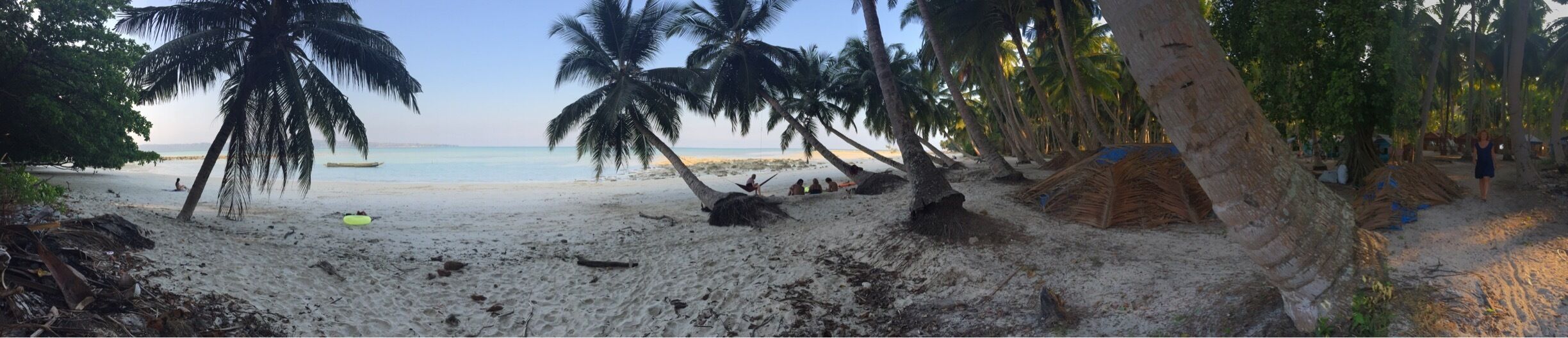 A beach with palm trees, a sandy shore, and a calm sea.