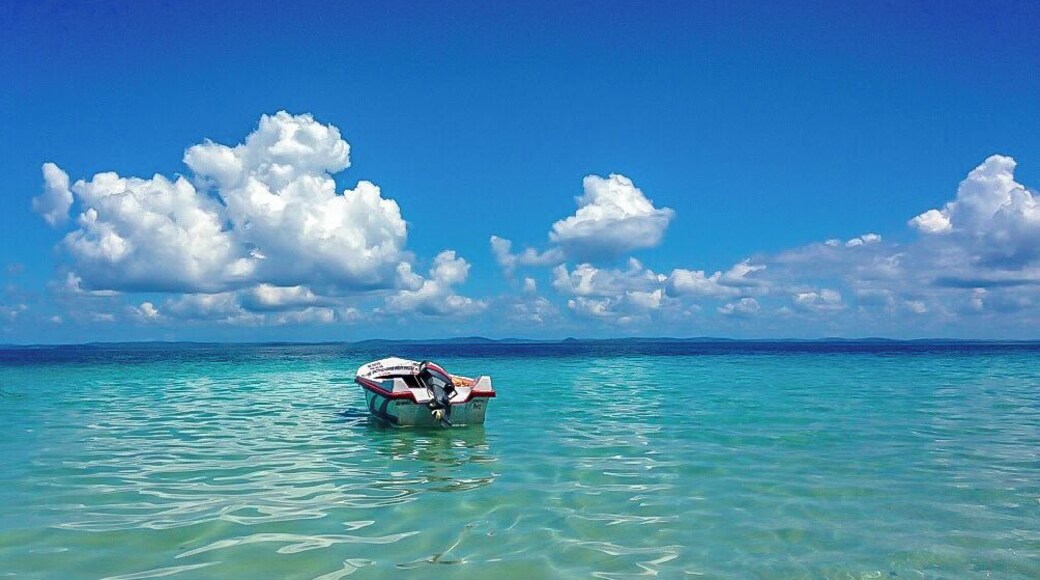 A journey of a thousand miles begins with a single step, and mine began with this one :)
The emerald green water and bright blue sky (pretty much all round the year except for monsoons) makes every picture taken at Andaman islands look vibrant and colorful. One such place is the Elephant Beach on Havelock island.
All the beaches in Havelock island are just a few miles apart. You can pretty much visit every corner of the island in 2-3 days.
#beachbound