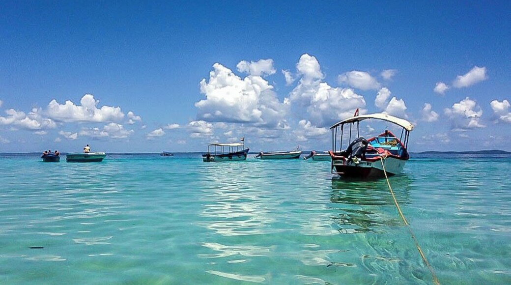 Crystal clear waters and blue sky take your breath away on the Elephant Beach in Andaman Islands. Perfect place to go snorkeling! #beachbound