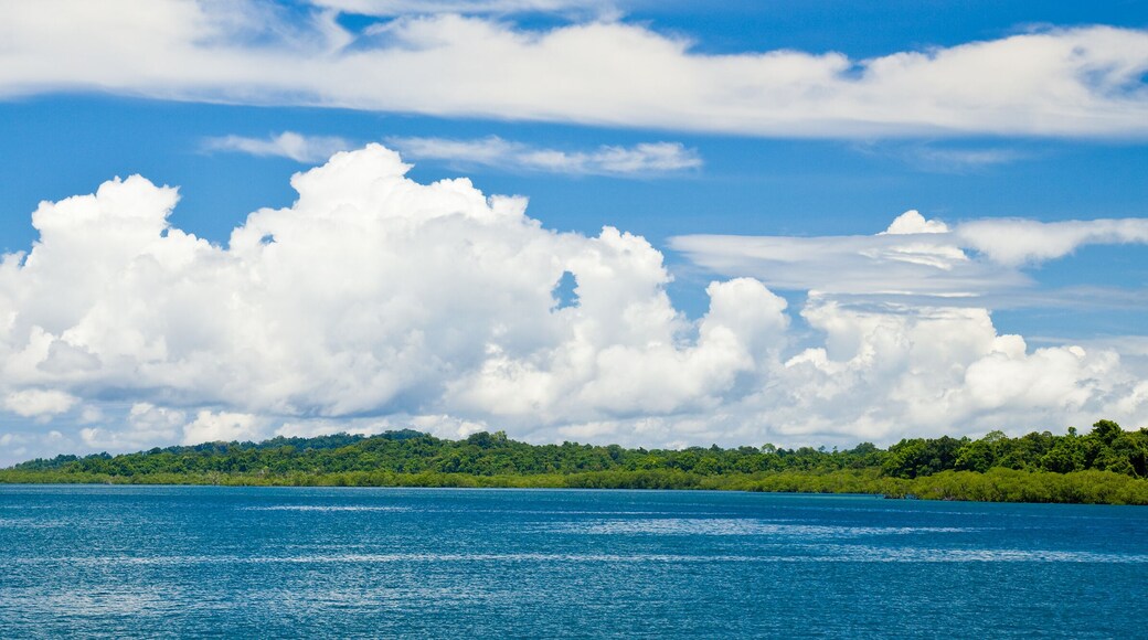 Havelock Island Panorama