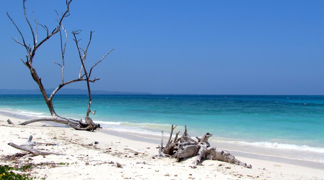 Crystal blue waters, the pristine beach is mostly deserted barring evening time.. #beach #havelock
