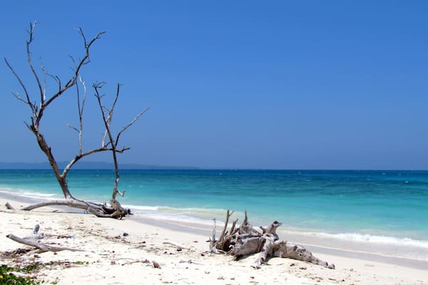 Crystal blue waters, the pristine beach is mostly deserted barring evening time.. #beach #havelock