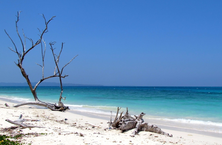 Crystal blue waters, the pristine beach is mostly deserted barring evening time.. #beach #havelock