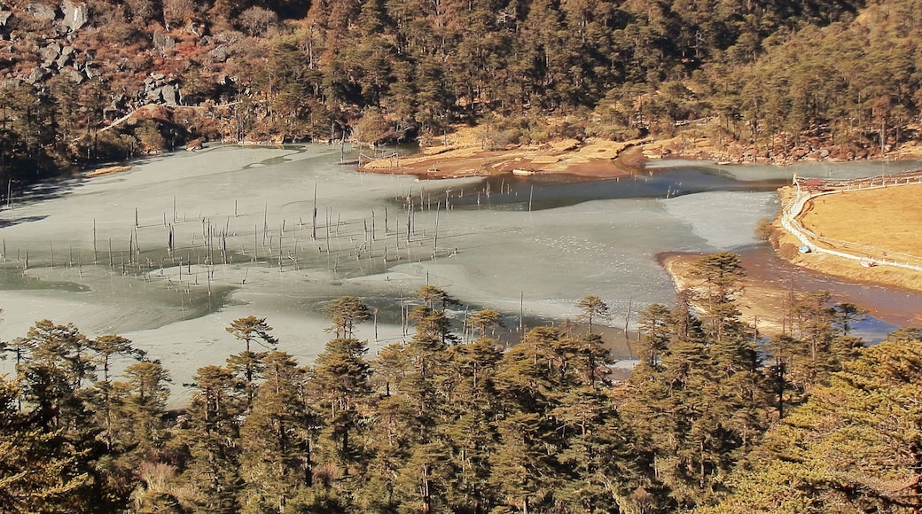 scenic view of madhuri lake or sungester lake, a famous tourist destination of tawang, located on himalayan foothills in arunachal pradesh, india