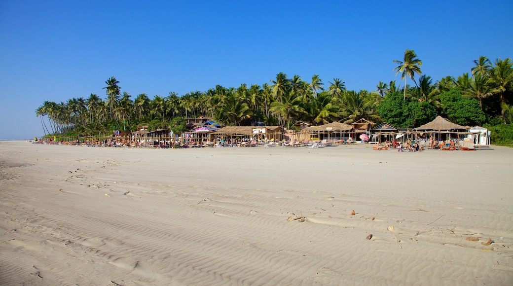 Goa which includes a sandy beach, tropical scenes and landscape views