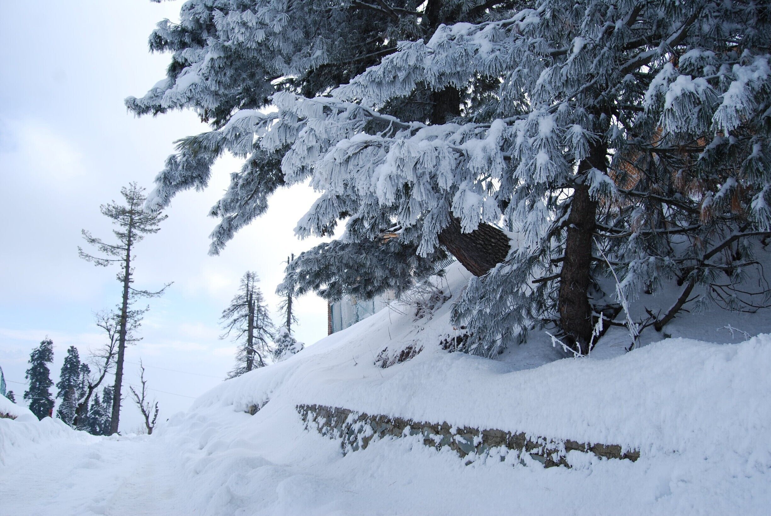 The spirit of winters!
#Snow