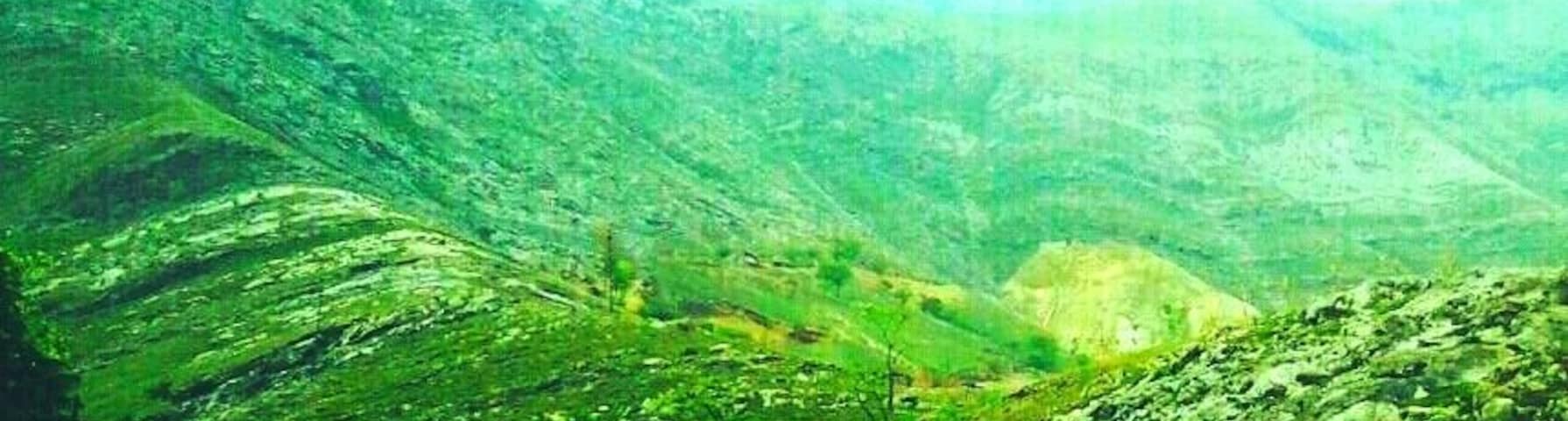 Un valle verde con una carretera y una montaña al fondo.
