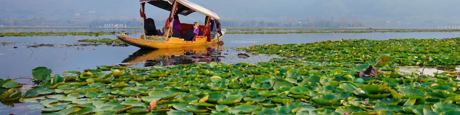 Jammu and Kashmir showing landscape views, boating and a lake or waterhole