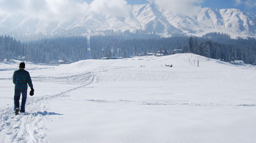 Either you can follow a snow track or make your own!
#Snow