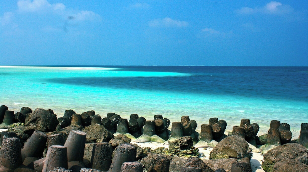 bangaram island, a kilometer long and 300 meter wide piece of heaven surrounded by lagoon and the indian ocean just like a delicious marble cake! a place with no cell reception or electricity and with barely 50 people living on an island is an experience worth reliving... when the silence itself makes a sound that triggers emotions your heart forgot to feel and an imagination that energizes your spirit is what bangaraam has to offer... go for it!
#blue