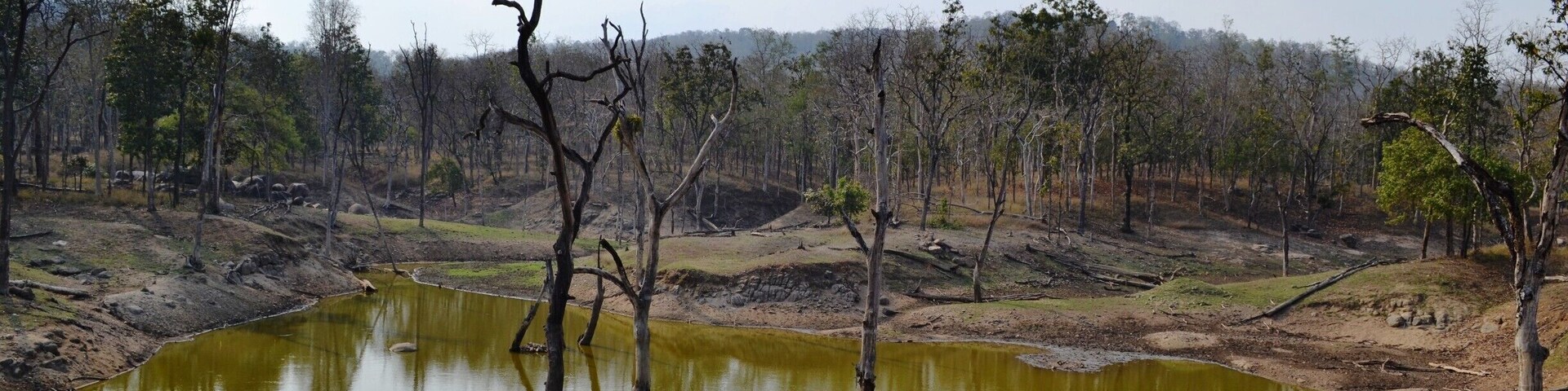 #gorgeous #nature #india #tinygoestravelling #thetinytaster #kanha #intothewild www.thetinytaster.com