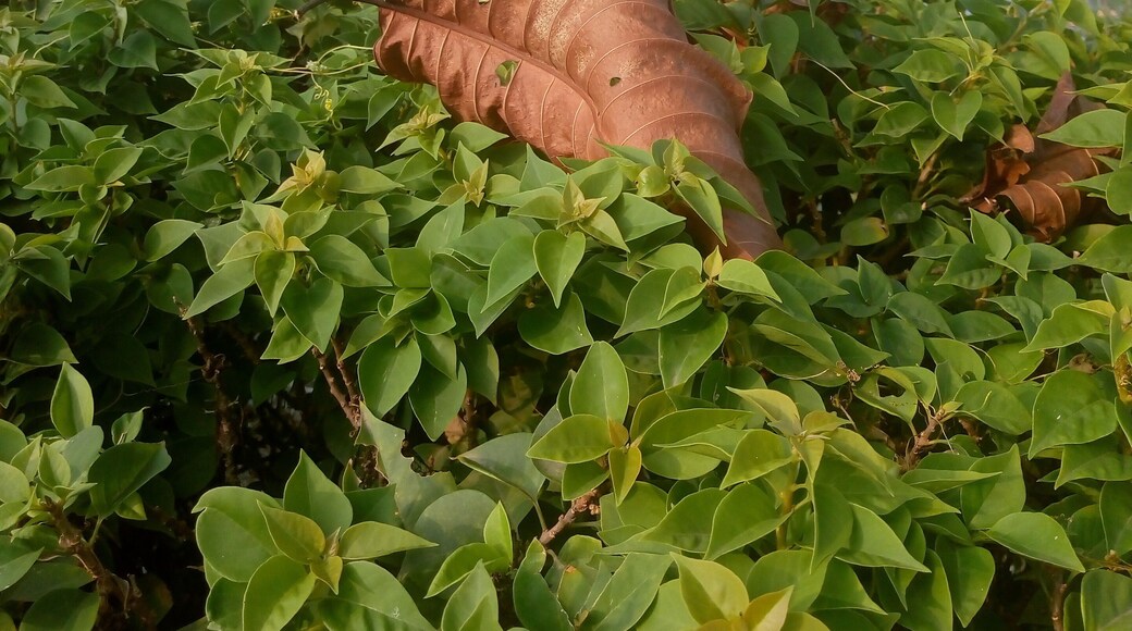 Look deep into nature, and then you will understand everything better