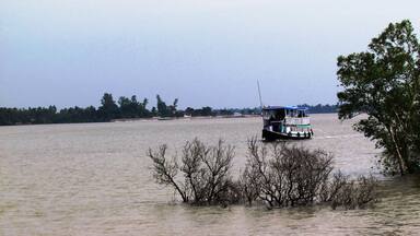 Sunderban during High Tide