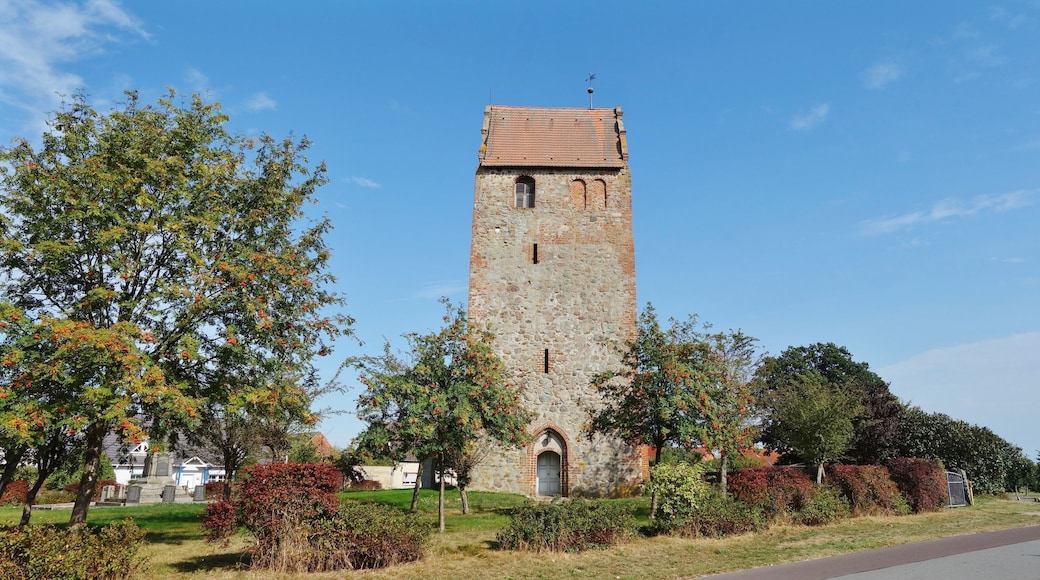 This is a picture of the Brandenburger Baudenkmal (cultural heritage monument) with the ID