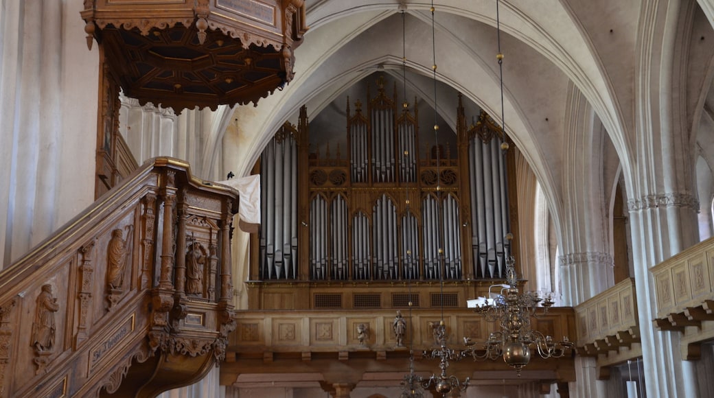 Orgel der Marienkirche (Wittstock)