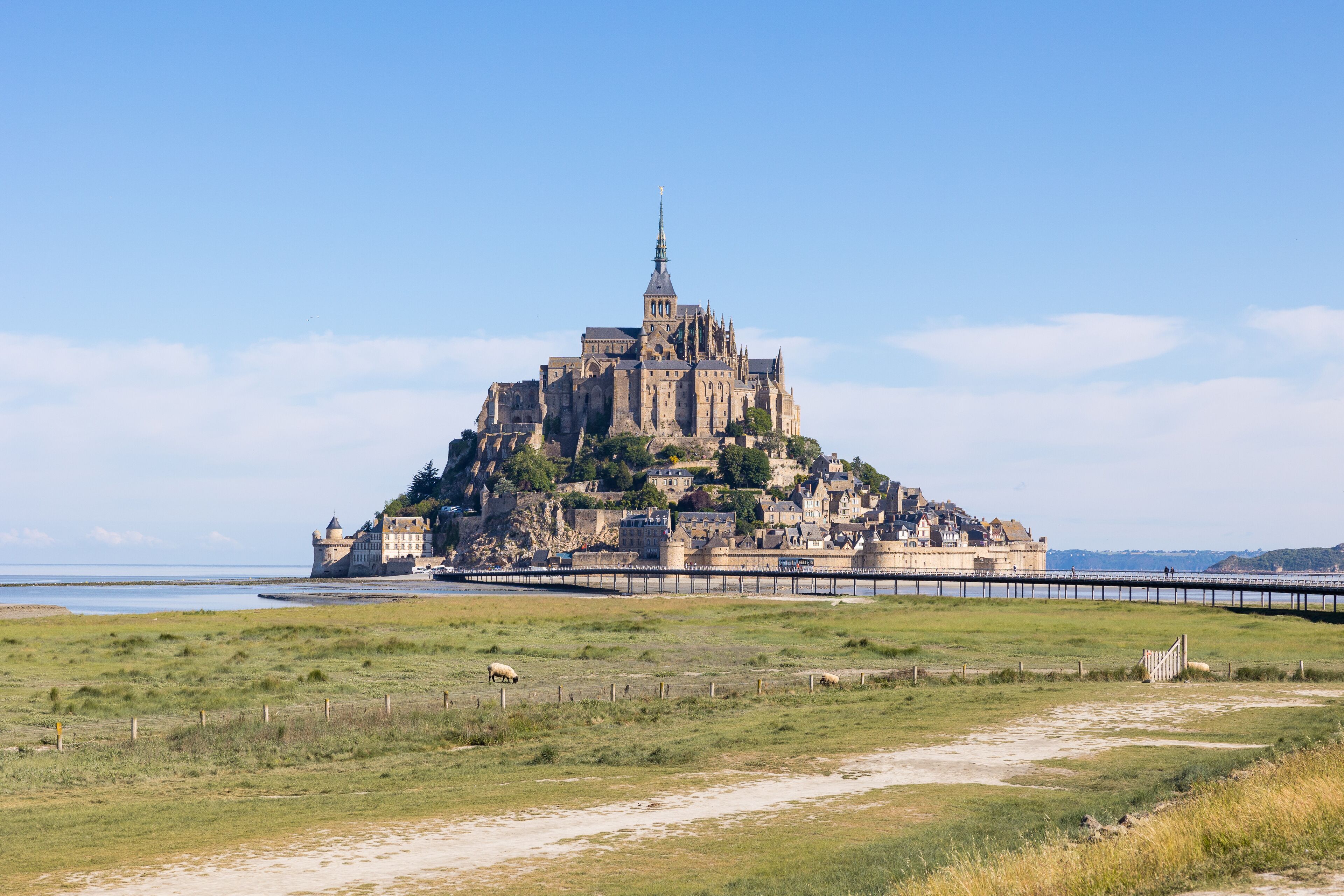 Vue sur le Mont Saint-Michel devant un pâturage des prés salés et ses agneaux