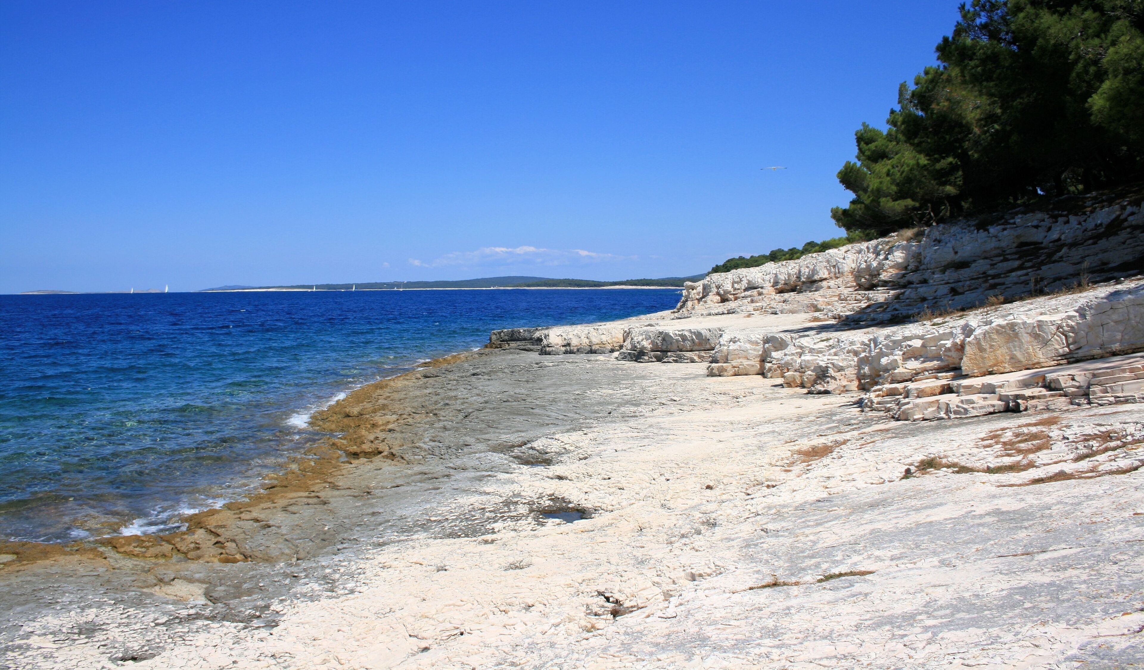 Veli Losinj