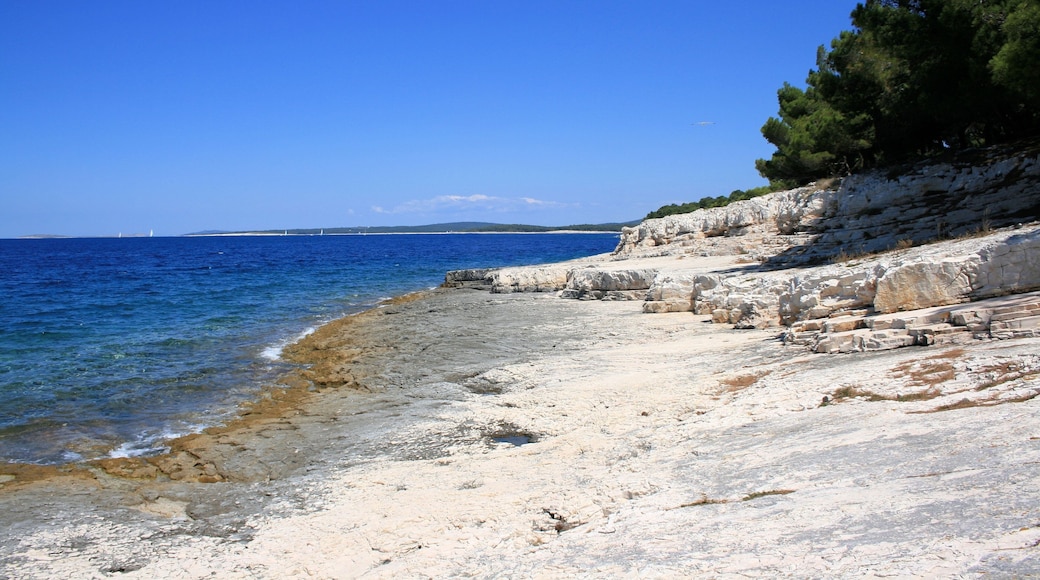 Veli Losinj