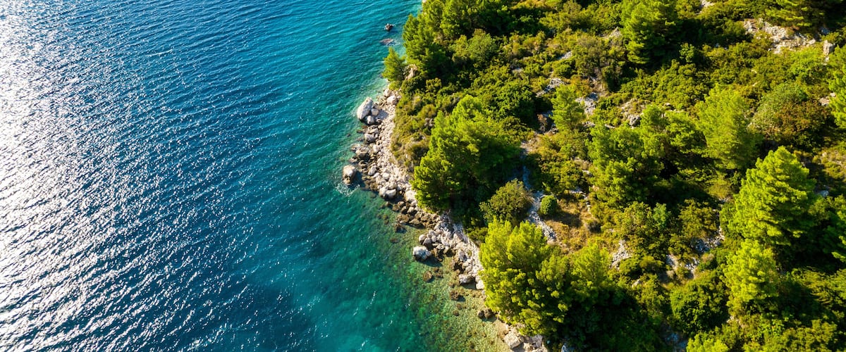 A coastal landscape with clear turquoise waters, dense green forest, and rocky shoreline.