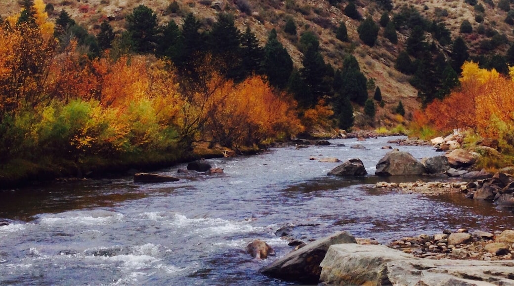 Fall fishing in clear creek #colorful