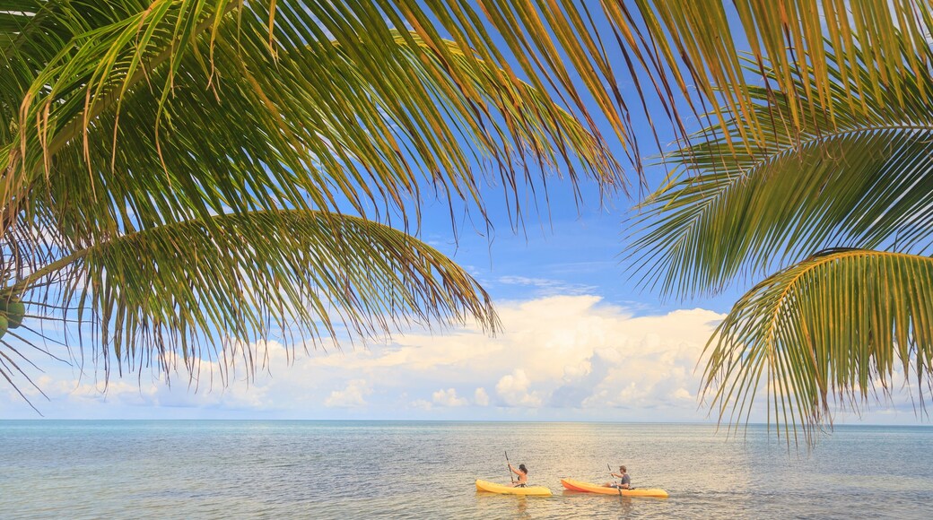 Distant view of couple sea kayaking, St. Georges Caye, Belize, Central America
