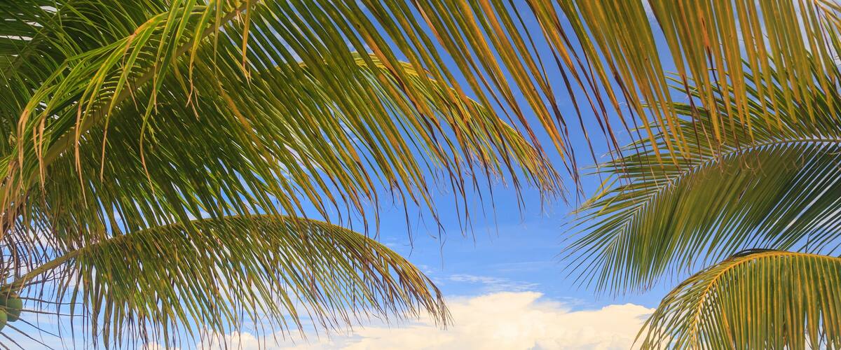 Distant view of couple sea kayaking, St. Georges Caye, Belize, Central America