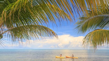 Distant view of couple sea kayaking, St. Georges Caye, Belize, Central America