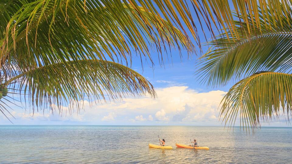 Two people kayaking on calm ocean waters, palm trees, and a clear sky.