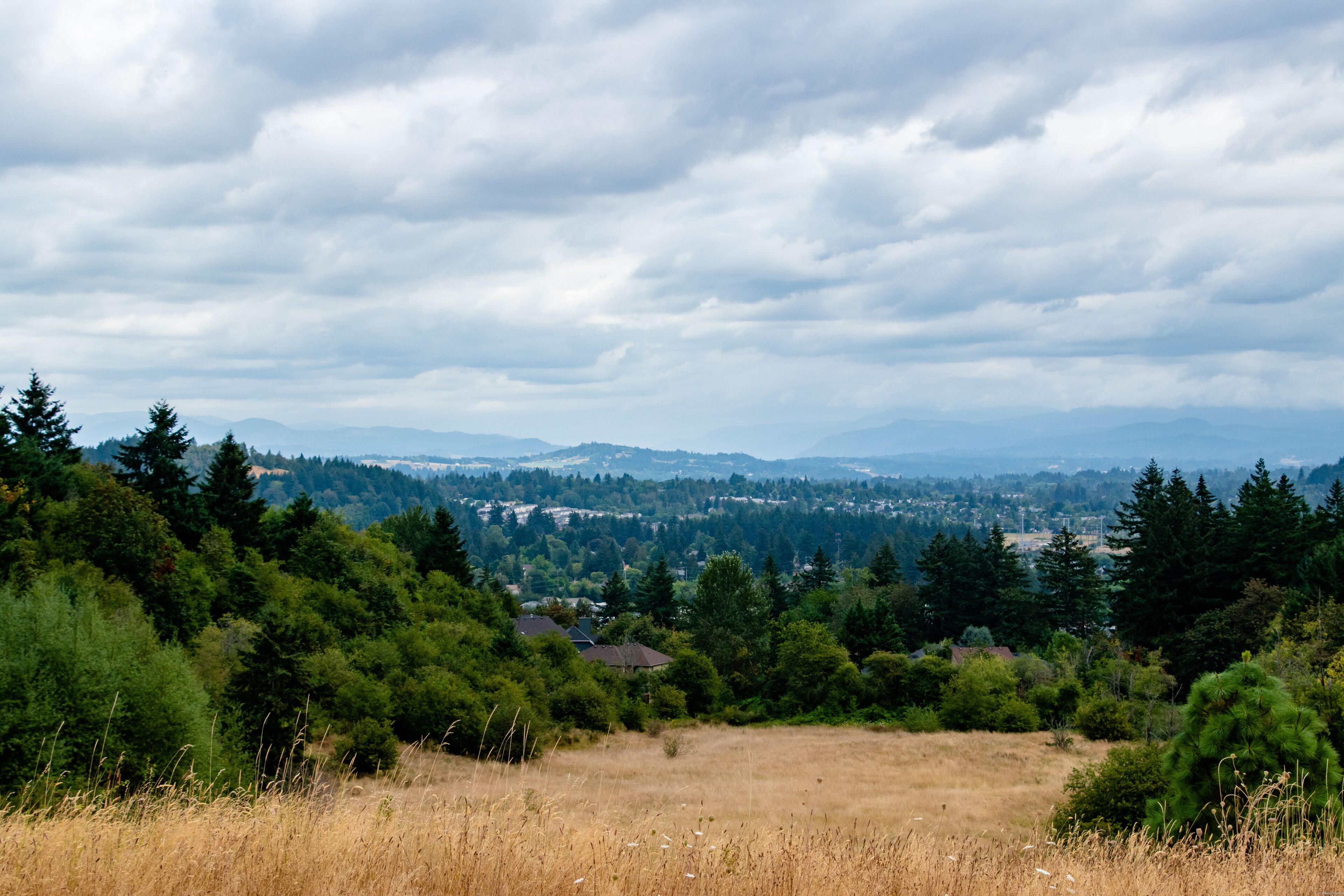 Meadow and Viewpoint of Oregon from Powell Butte Park in East Portland, OR on Cloudy Day