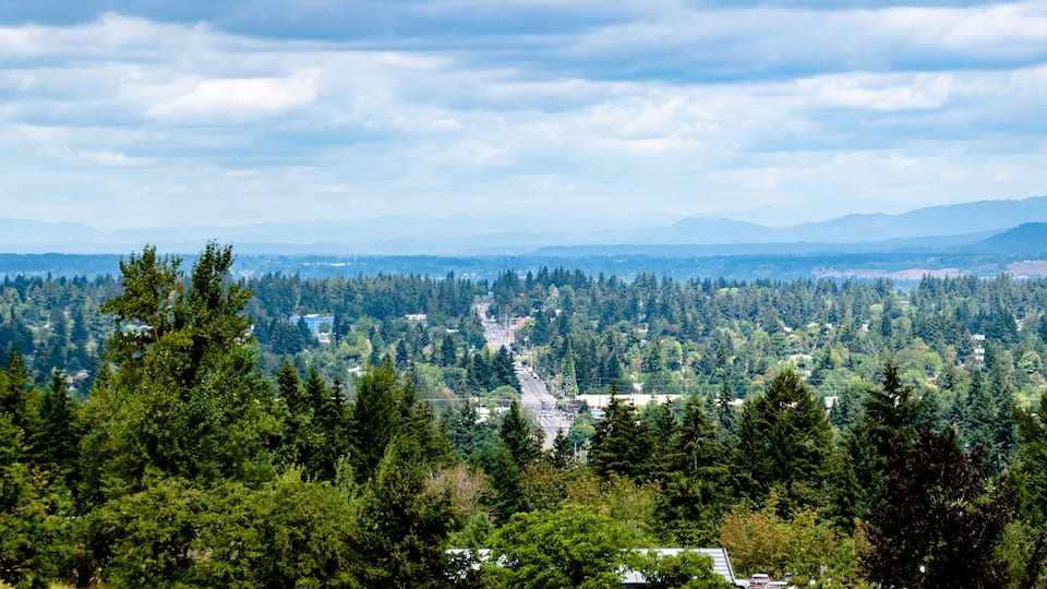 A mountainous landscape with dense forests and a winding road.