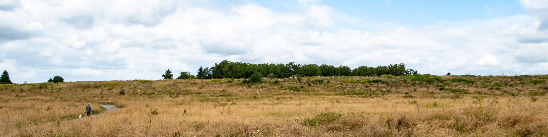 Dry Meadow in Powell Butte Park in East Portland, OR
