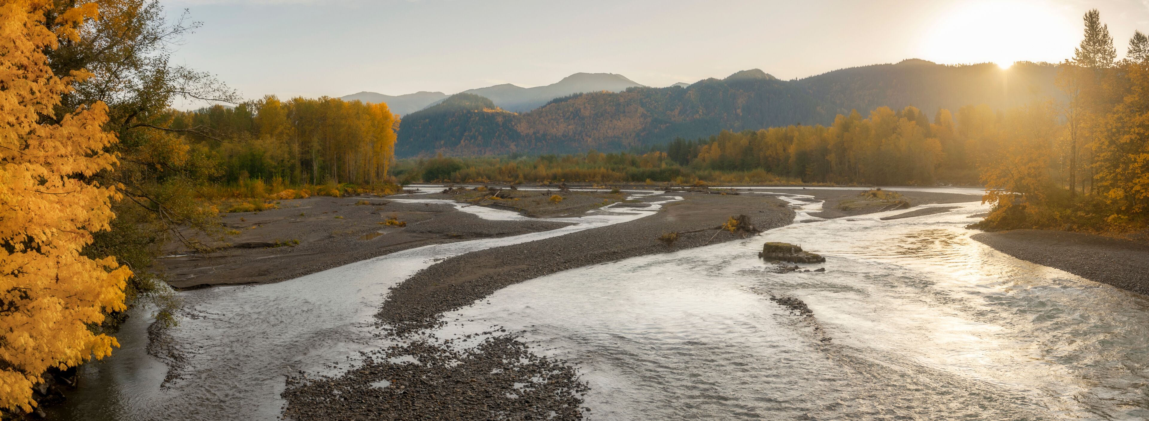 メープル フォールズ