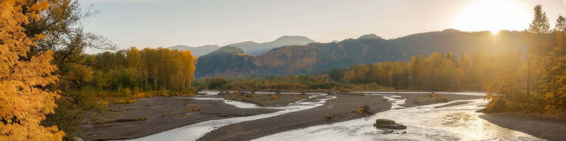Sunrise View of the Nooksack River During the Colorful Fall Season. Morning in the Pacific Northwest when the maple trees are brilliant yellow mixed with the intense green of the fir and cedar forest.