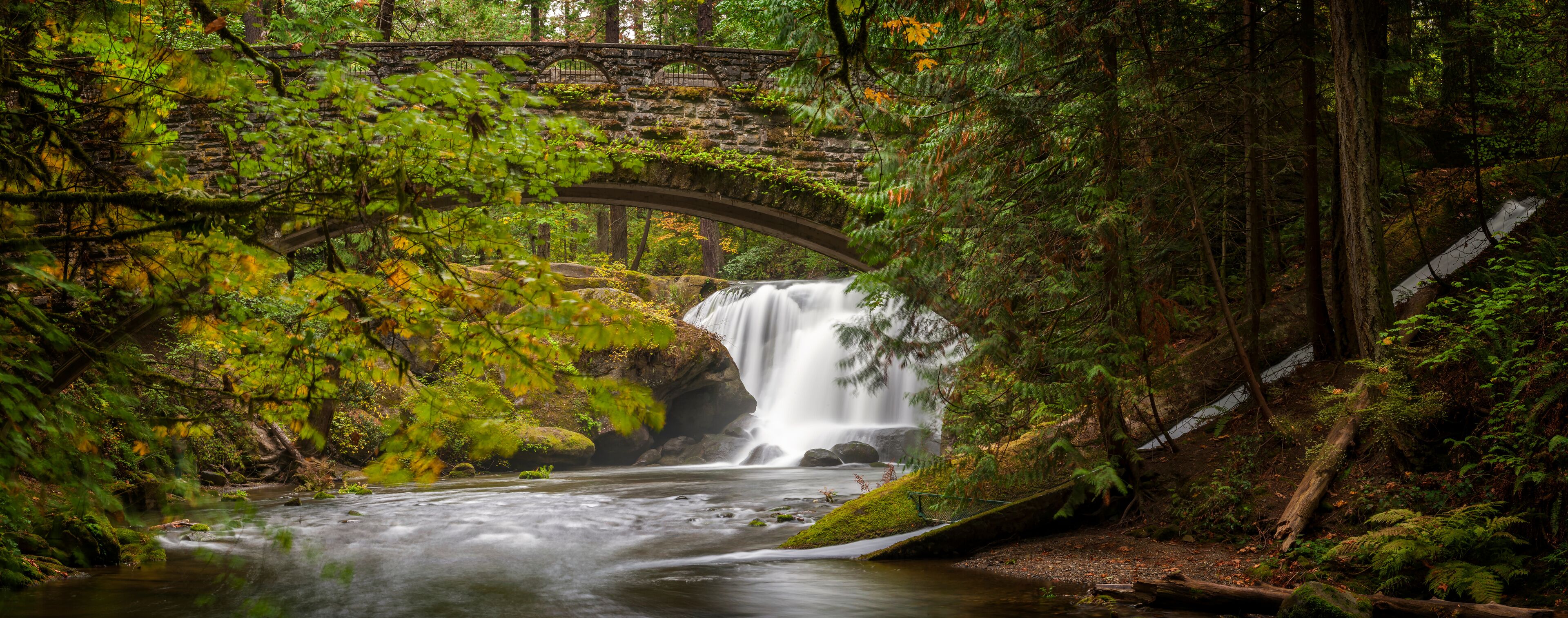 Waterfall in Whatcom Falls Park. A beautiful waterfall runs through this 241-acre park located in a rainforest environment with fir, maple and cedar trees. Autumn has arrived with colorful leaves. 