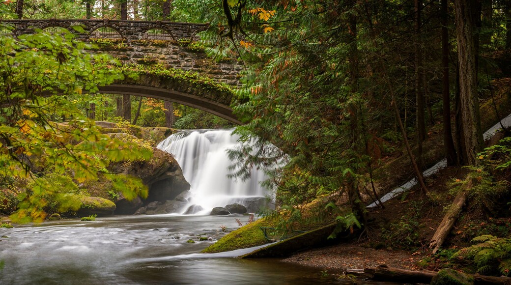 Waterfall in Whatcom Falls Park. A beautiful waterfall runs through this 241-acre park located in a rainforest environment with fir, maple and cedar trees. Autumn has arrived with colorful leaves.