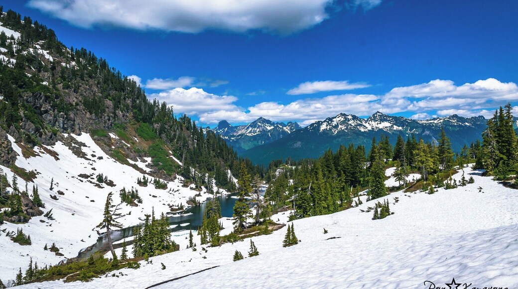 Beautiful view from the top of the Mt. Baker ski and visitor area