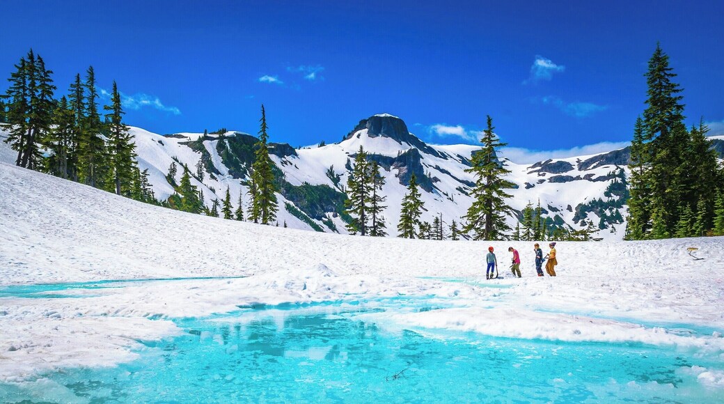 Beautiful view from the top of the Mt. Baker ski and visitor area