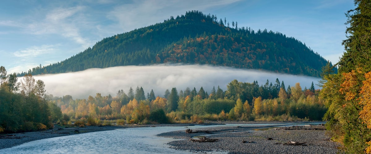 Sunrise View of the Nooksack River During the Colorful Fall Season. Morning in the Pacific Northwest when the maple trees are brilliant yellow mixed with the intense green of the fir and cedar forest.