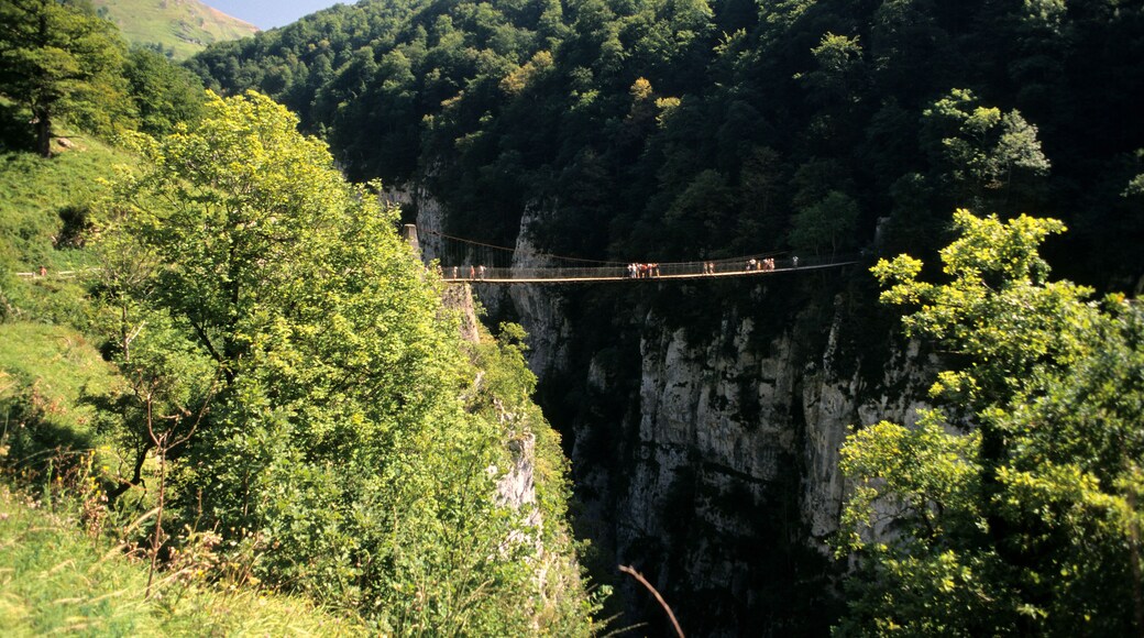 Pyrénées-Atlantiques